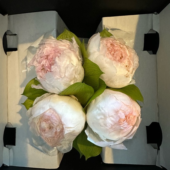 Venus et Fleur Sylvia Porcelain Vase Eternity Peonies - Picture 4 of 6